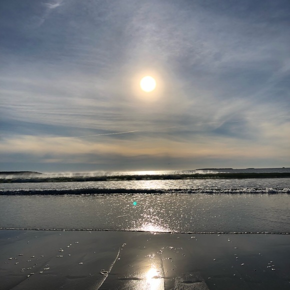 Meet your Posher, Betsy - Picture 5 of 5